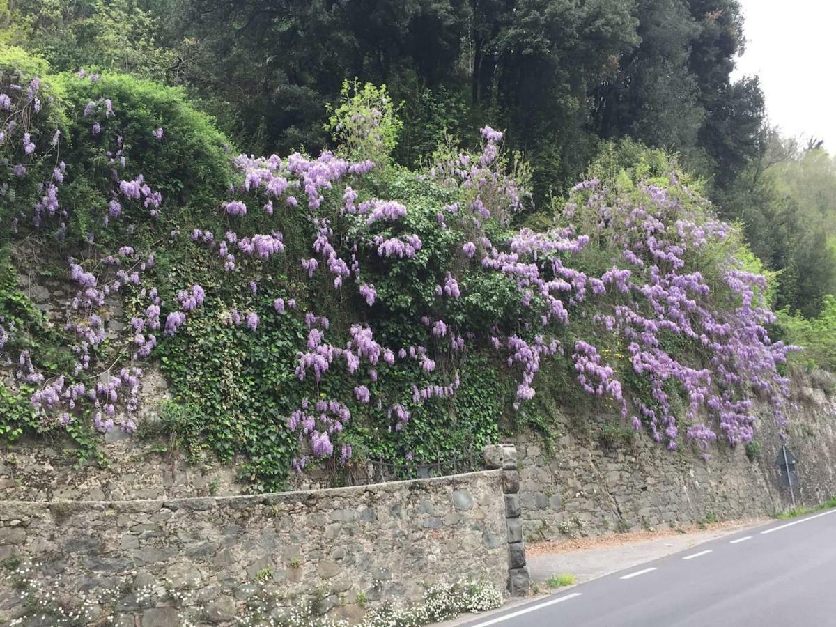 La Piccola Oasi Toscana Apartman Bagni di Lucca Kültér fotó